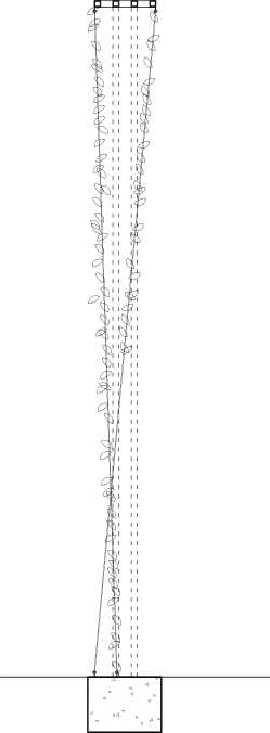 ARCADE WALL